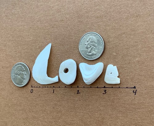 Insegna naturale a forma di lettera "amore" spiaggia conchiglia parola arte/artigianato anniversario ❤️ USA - Foto 5 di 15