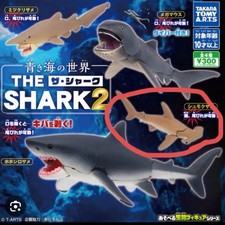 The World of the Blue Sea: The Shark 2: Hammerhead