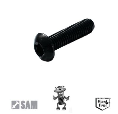 Linsenkopfschrauben ISO 7380-1 TORX Edelstahl A2 SCHWARZ M1,6 M2 M2,5 M3 M4 M5 