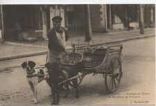 Reproduction CPA - BRIARE - Attelages de Chiens - le Marchand de Primeurs