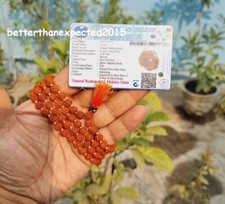 LAB CERTIFIÉ 5 perles de prière Mukhi RUDRAKSHA Rudraksh Mala ROSARY 108 + 1 ...