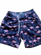 Mens Flamingo Swim Trunks XL