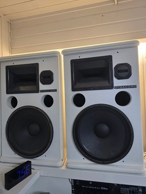 2 Dynacord Boxen 15.3