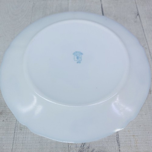 Arcopal PROVINCIAL Floral Green Pinstripe Opal White Glass Dinner Plates Set 4 - Bild 7 von 21