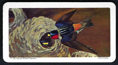 BROOKE BOND (CANADA) - CANADIAN / AMERICAN SONGBIRDS - #14 CLIFF SWALLOW