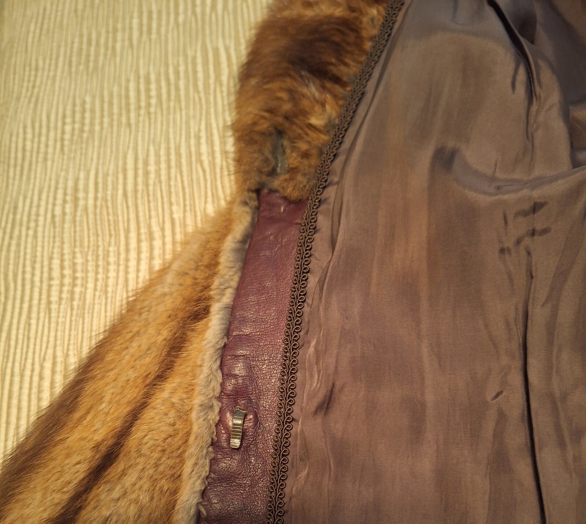 ヴィンテージ　VINTAGE　ムートン　TERRA AUSTRALIS ヴィンテージ VINTAGE ムートン TERRA AUSTRALIS