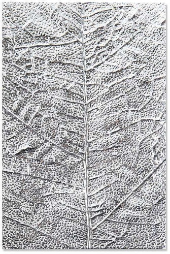 Sizzix 3D Textured Impressions Embossing Folder Leaf Veins New 664488 - Picture 4 of 4