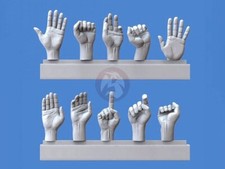 Royal Model 1/16 120mm Assorted Hands 3 5 Left  5 Right, different poses 964