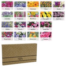 Flower Seeds UK | 18 Varieties | 1400+ Seeds | Gardening Gifts Women | Men
