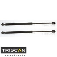 2X Gasfeder FüR Koffer-/Laderaum Triscan 871025243 DäMpfer GasdäMpfer