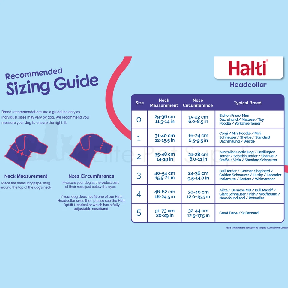 Halti Head Collar Dog Puppy Training Obedience Stop Pulling - Image 3 of 4