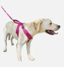 DogFad Dog Harness No Pull Pet Adjustable Breathable Outdoor  Size XL - New