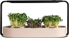 Eco-Friendly Organic Microgreens Kit in Ceram...