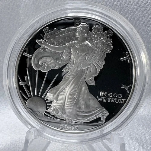 2005 1 oz .999 Fine Silver American Eagle Proof Coin [D17]