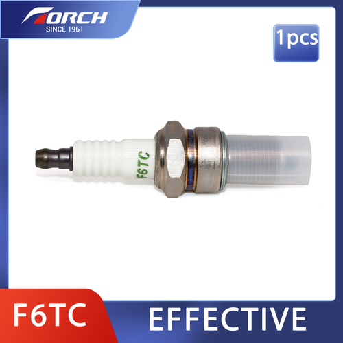 High Quality Original TORCH F6TC Spark Plug Replacement for Champion RN9YC UN79Y - Foto 3 di 6
