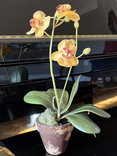 Decorative Silk 13" Yellow Phalaenopsis Orchid in Natural Pot - Picture 1 of 13