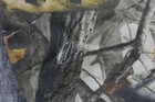 Bild 4 von 10