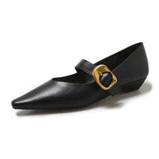 Womne's Low Wedge Heels Pointed Toe Buckle Mary Jane Shoes for Spring and Autumn