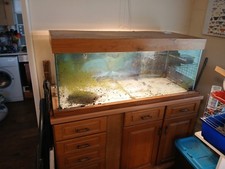 Large fish tank/aquarium/vivarium. 4