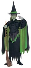 Wizard of Oz: Wicked Witch Child Costume Small Missing The Tie Around the Hat.