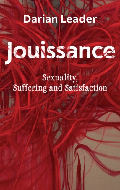 Jouissance – Sexuality, Suffering and Satisfaction Leader Paperback Polity Press - Image 5