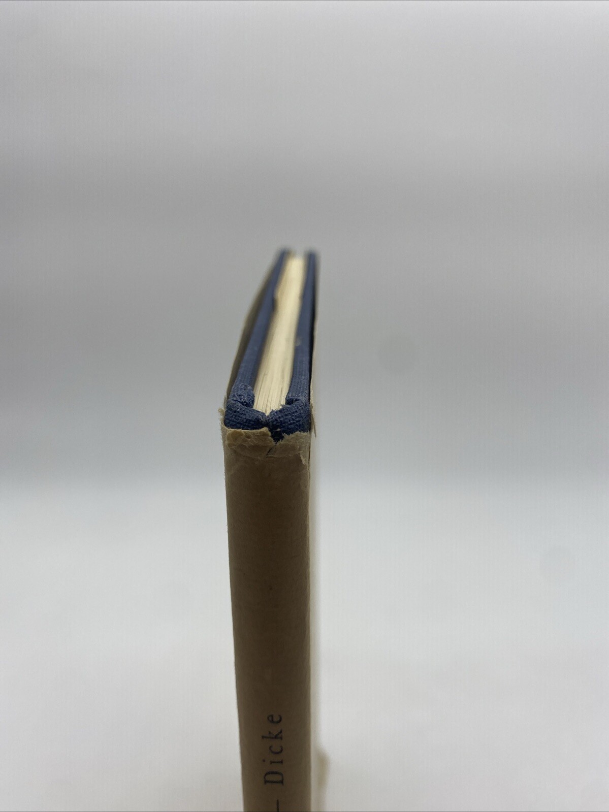 Picture 15 of 16