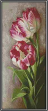 Tulips Flowers Counted Cross Stitch Chart No.14-145