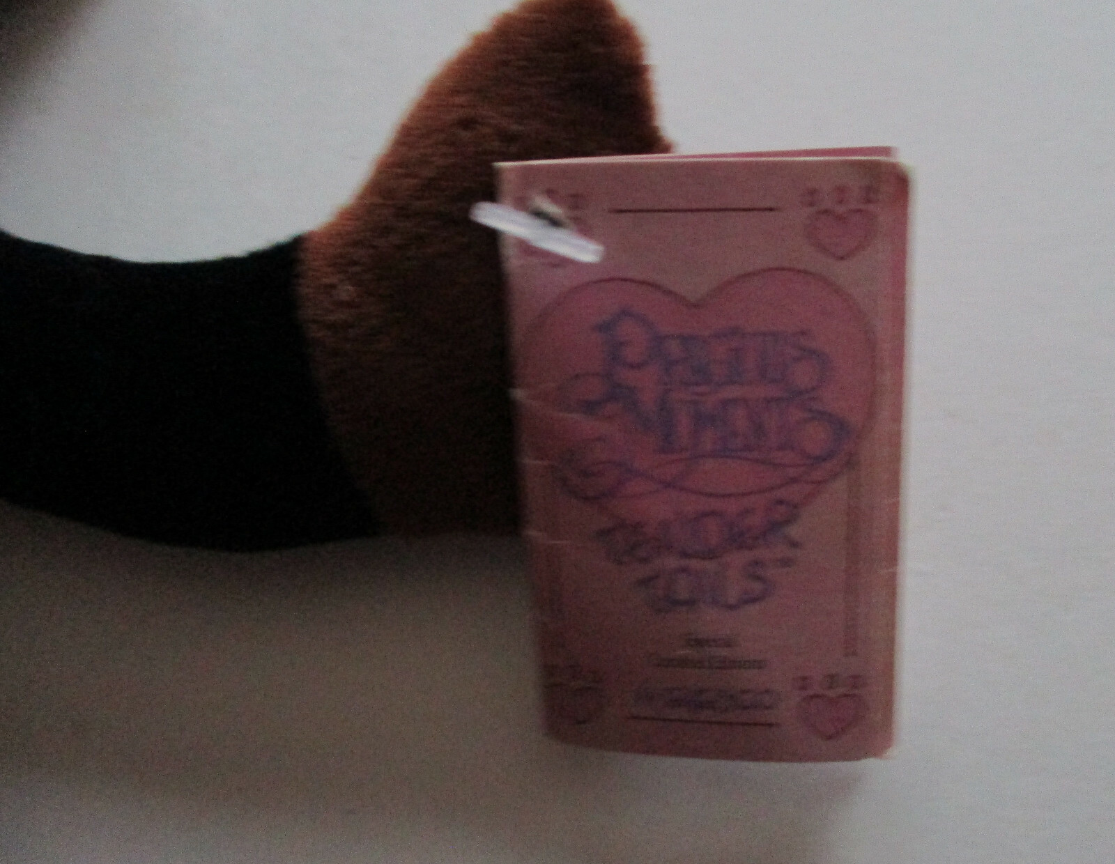 Foto 4 di 5