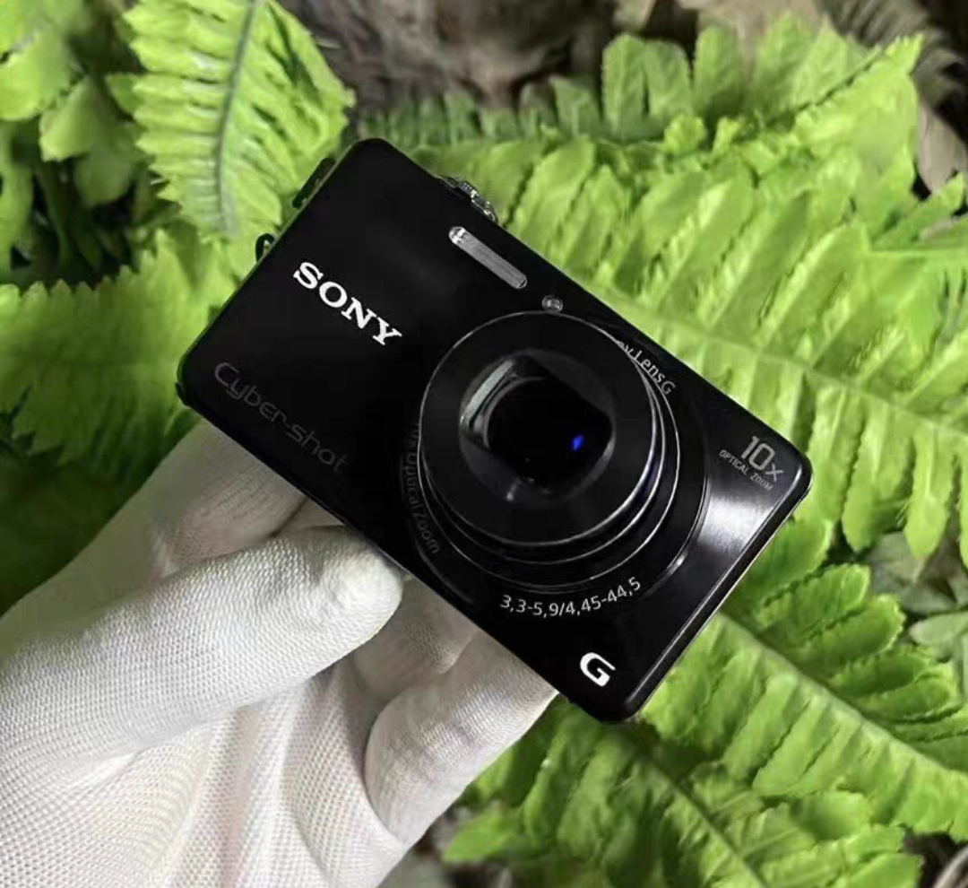 SONY Cyber-shot DSC-WX220 18.2MP Digital Camera with 2.7-Inch LCD