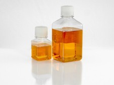 Pigeon serum 50 ml