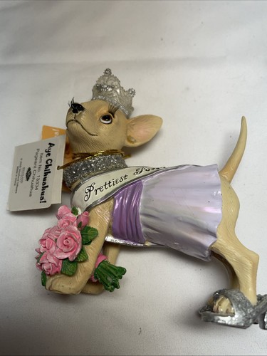 Ein Chihuahua Festzug Chihuahua Artikelnummer 13334 V023 - Bild 7 von 12