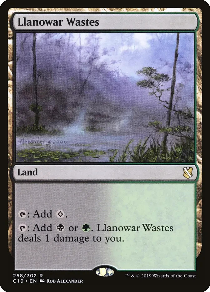 Llanowar Wastes 258 Magic: The Gathering Commander 2019 MTG Regular Rare NM