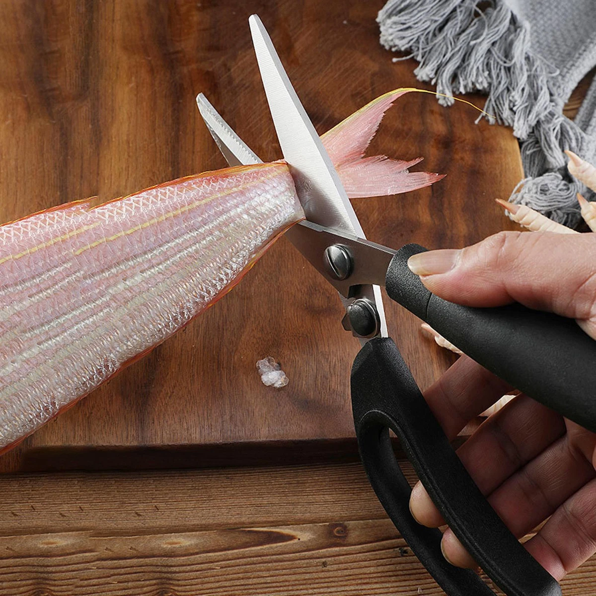 Chicken scissors 2024