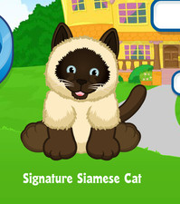 Webkinz Signature Siamese Cat Virtual Adoption Code Only Messaged Webkinz Kitty 