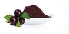 125g Raw Organic Freeze Dried Acai Powder
