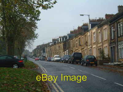 Photo 6x4 Felling - Coldwell Lane A view up Coldwell Lane towards Windy N c2005