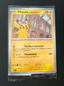 Pikachu at the Museum | eBay