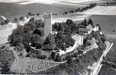 Ansichtskarte Burg Ravensburg    (293)