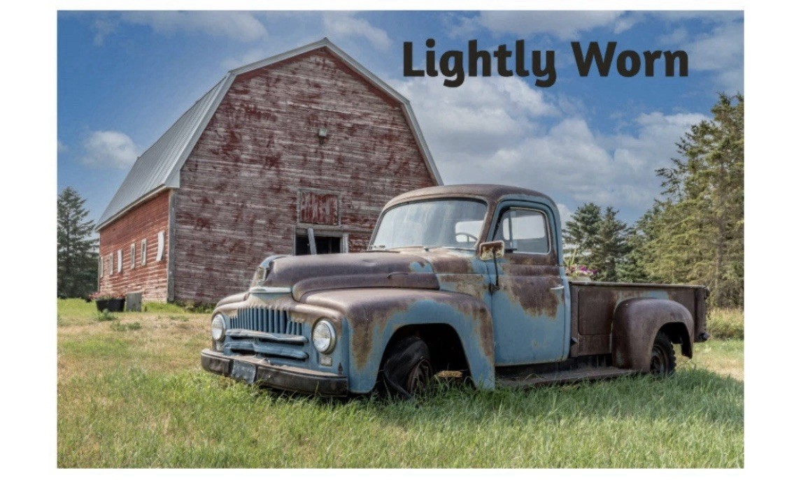 Flying Monkey Women’s Distressed Button Fly Tag S… - image 18