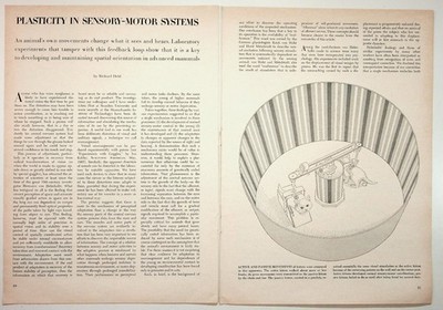 1960s Sci-Fi Era Ephemera: Kitten Sensory-Motor Research Journal Pages