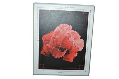 Alexander McQueen Savage Bloom Black Glass Candle Tuberrose & Oud Brand New