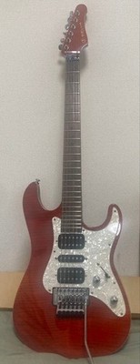 SELVA SST-600 STYLE4 - Ishibashi Music Original #QYI0A8