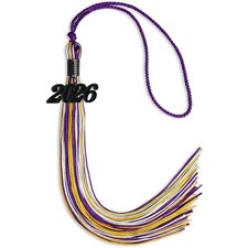 Endea Graduation Purple/Gold/White Mixed Color Tassel With Black Date Drop
