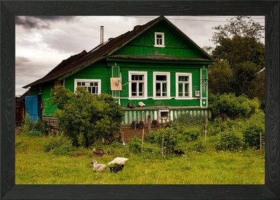 Green Wooden House with Ducks Framed Wall Art Poster Canvas Print Picture