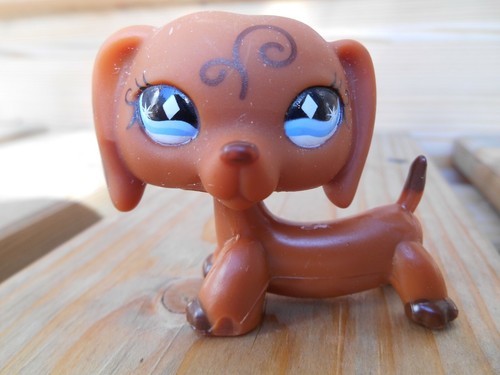 LPS Littlest petshop pet shop chien chat européen teckel colley cat dog rare - Imagen 2 de 109