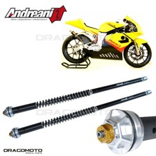 METRAKIT 125 PRE GP (FORCELLA PAIOLI) 2010-2012 cartridge ANDREANI 105/MK1E M...