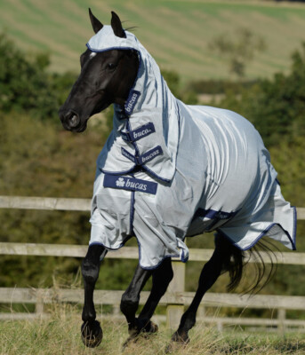 %% Bucas Fliegendecke Buzz Off X Big Neck %%