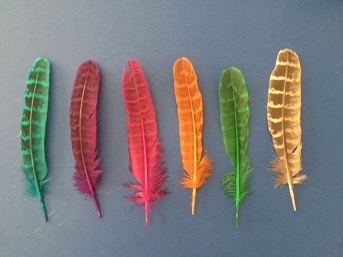 MIXED FEATHERS!! Choose your feather pack. AU STOCK - Free Postage. - Picture 28 of 30