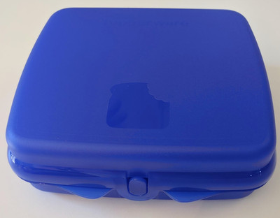 Tupperware Sandwich Keeper Hinged Seals Crayons Crafts Sheer Blue New