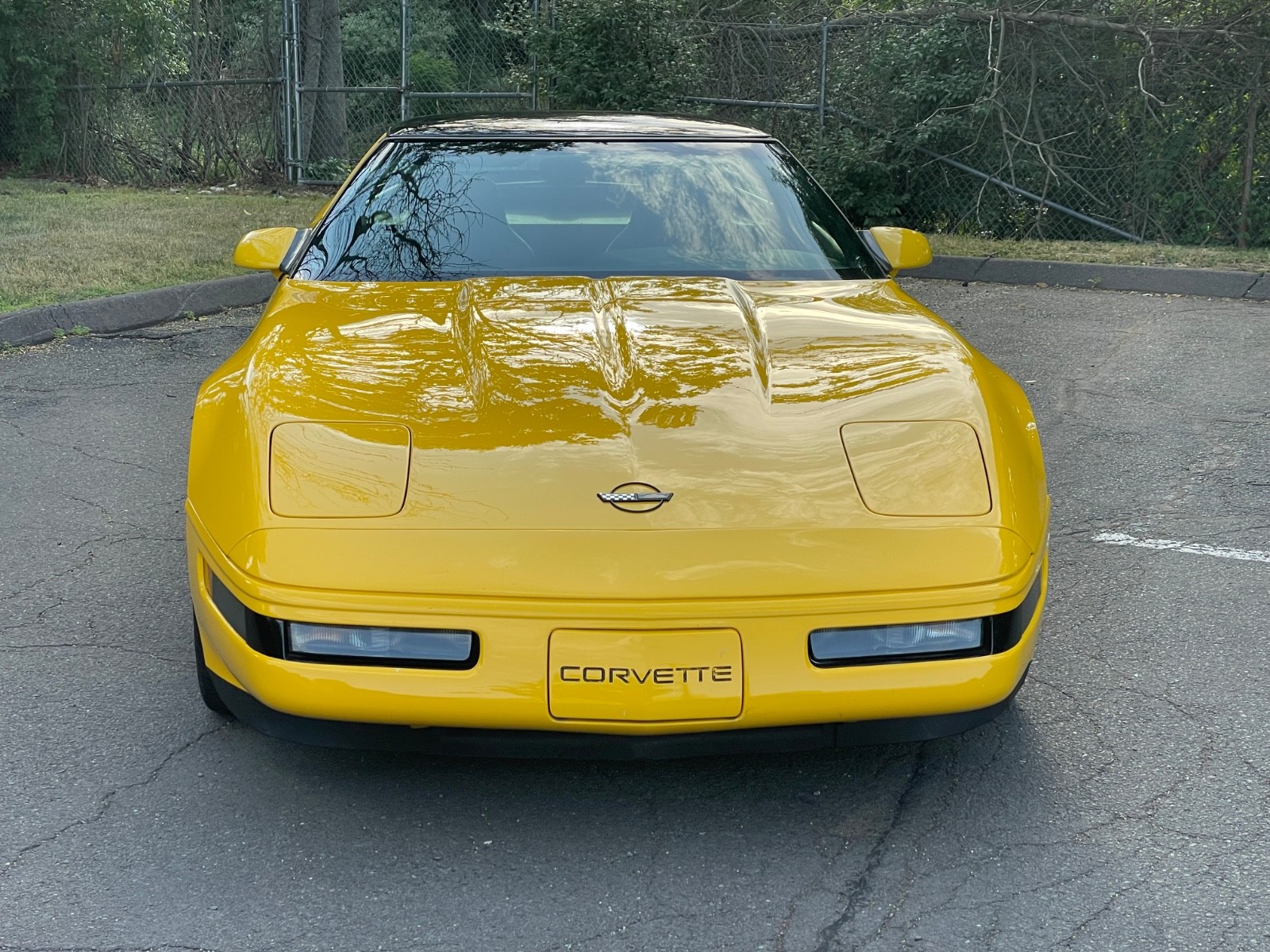 1995 Yellow Chevrolet Corvette   | C4 Corvette Photo 4